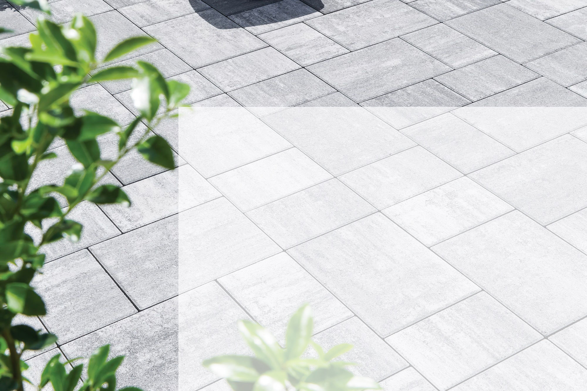 main background picture of artline plaza paver