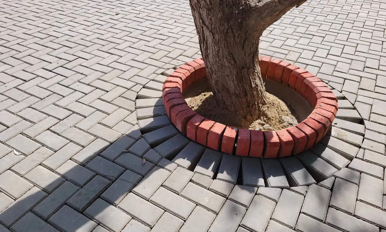 picture of pavers with quadra edging