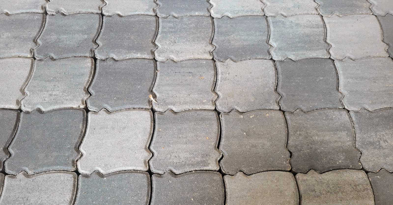 main head picture showing installation of maple leaf pavers